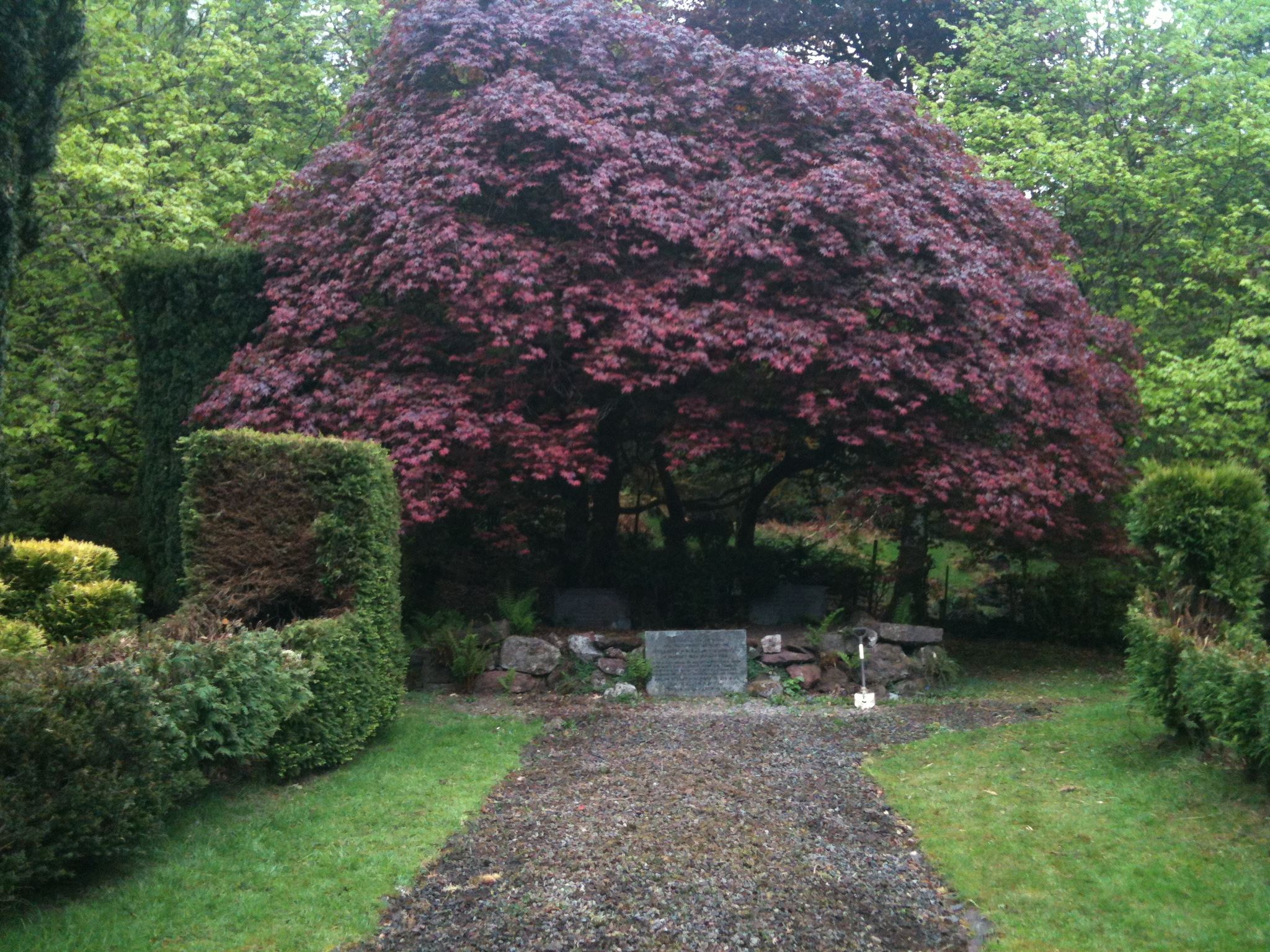 Glencruitten Cathedral of Trees