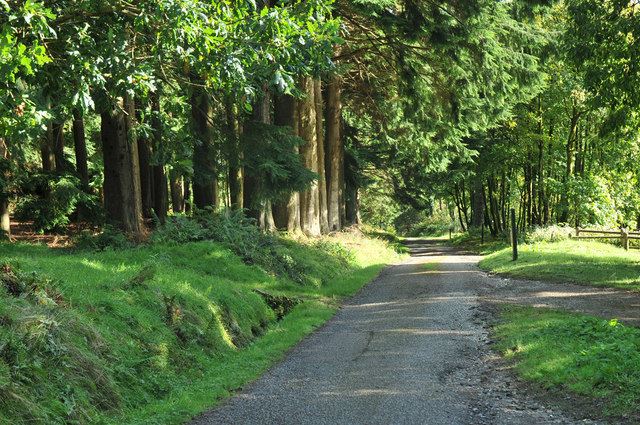 Kilmun Arboretum