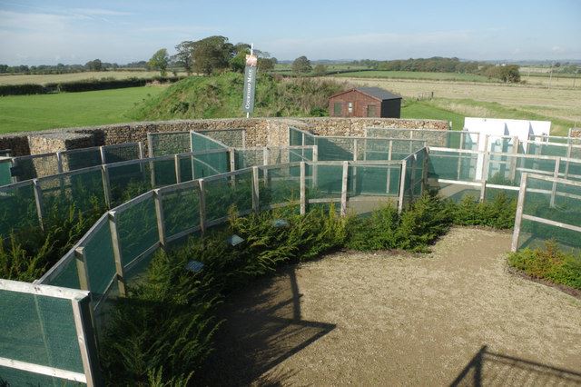 The Courtship Maze