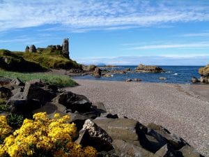 Ayr