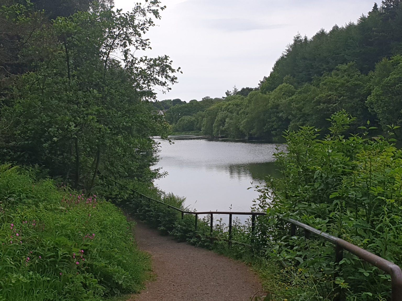 22-things-to-do-in-livingston-scotland-our-complete-guide