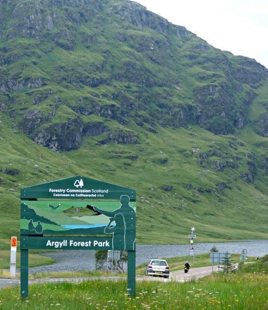 Argyle Forrest Park: things to do in Arrochar