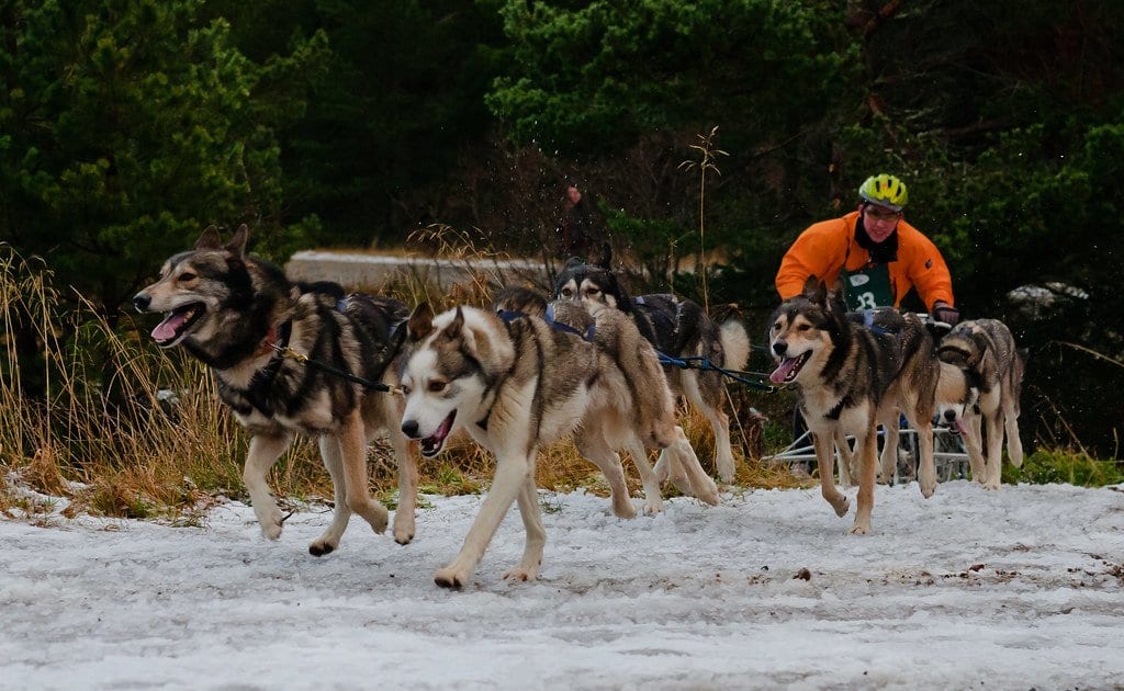 things to do in Aviemore