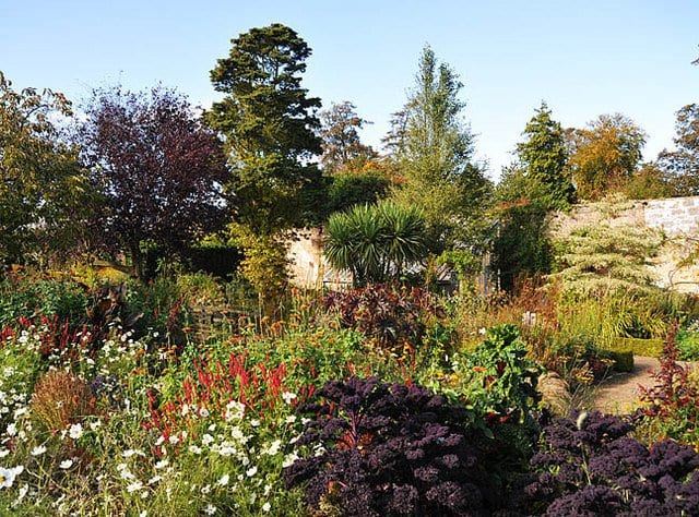 things to do in st andrews - Cambo Gardens