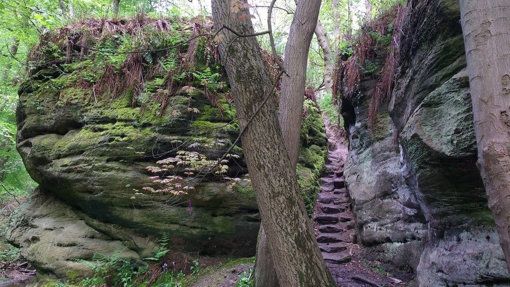 Dunino Den - things to do in St Andrews