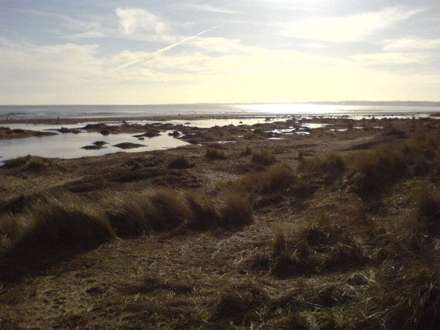 Kinshaldy Beach - things to do in St Andrews