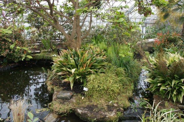 Botanical Garden in St Andrews