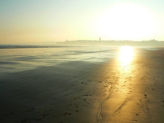 West Sands Beach - things to do in St Andrews