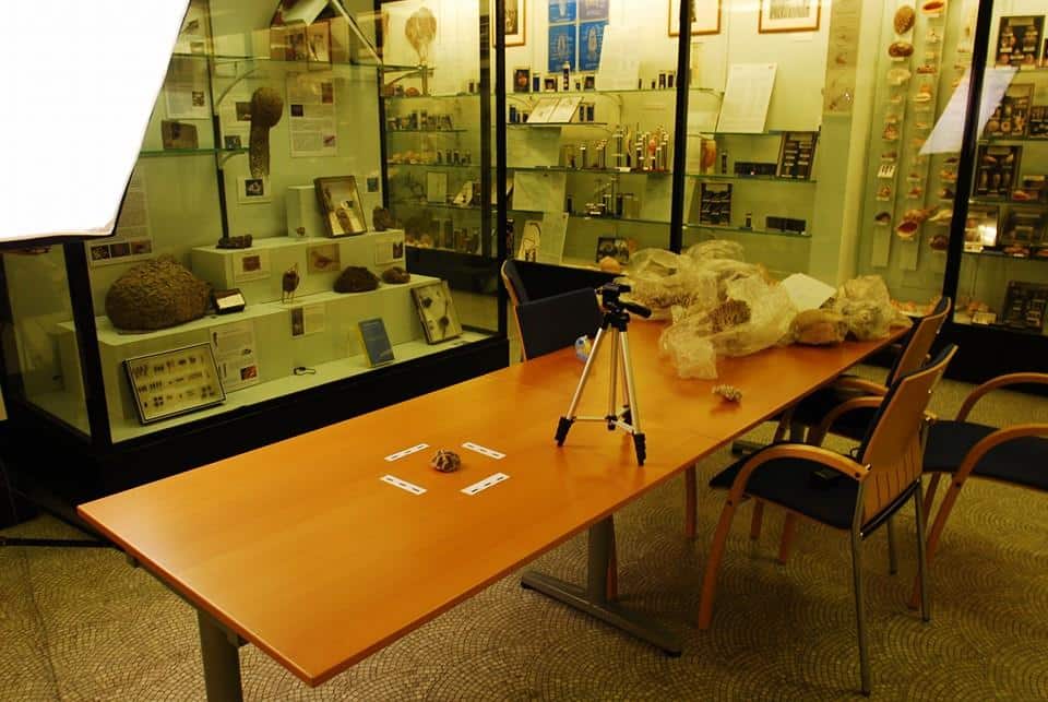 Bell Pettigrew Museum - things to do in St Andrews
