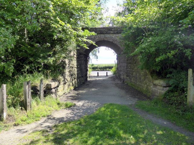 Broughty Ferry Nature Reserve