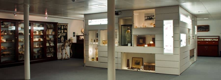 D’Arcy Thompson Zoology Museum