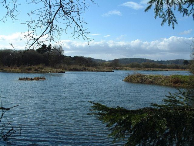 Morton Lochs
