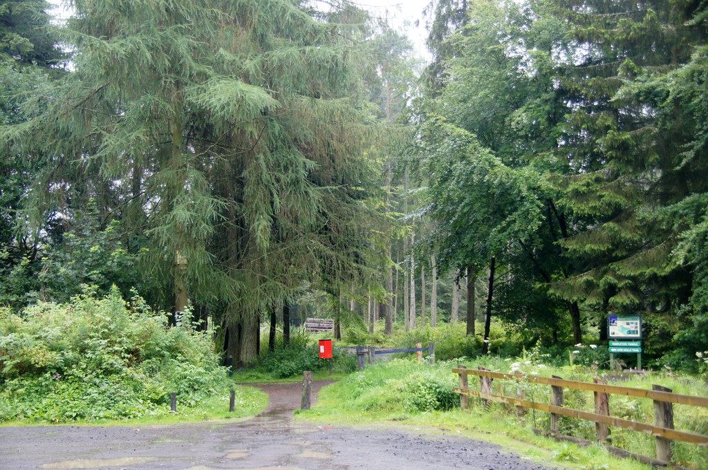 Templeton Woods