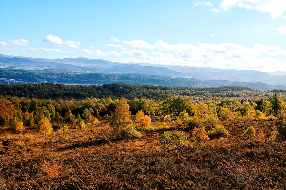 Camping Inverness