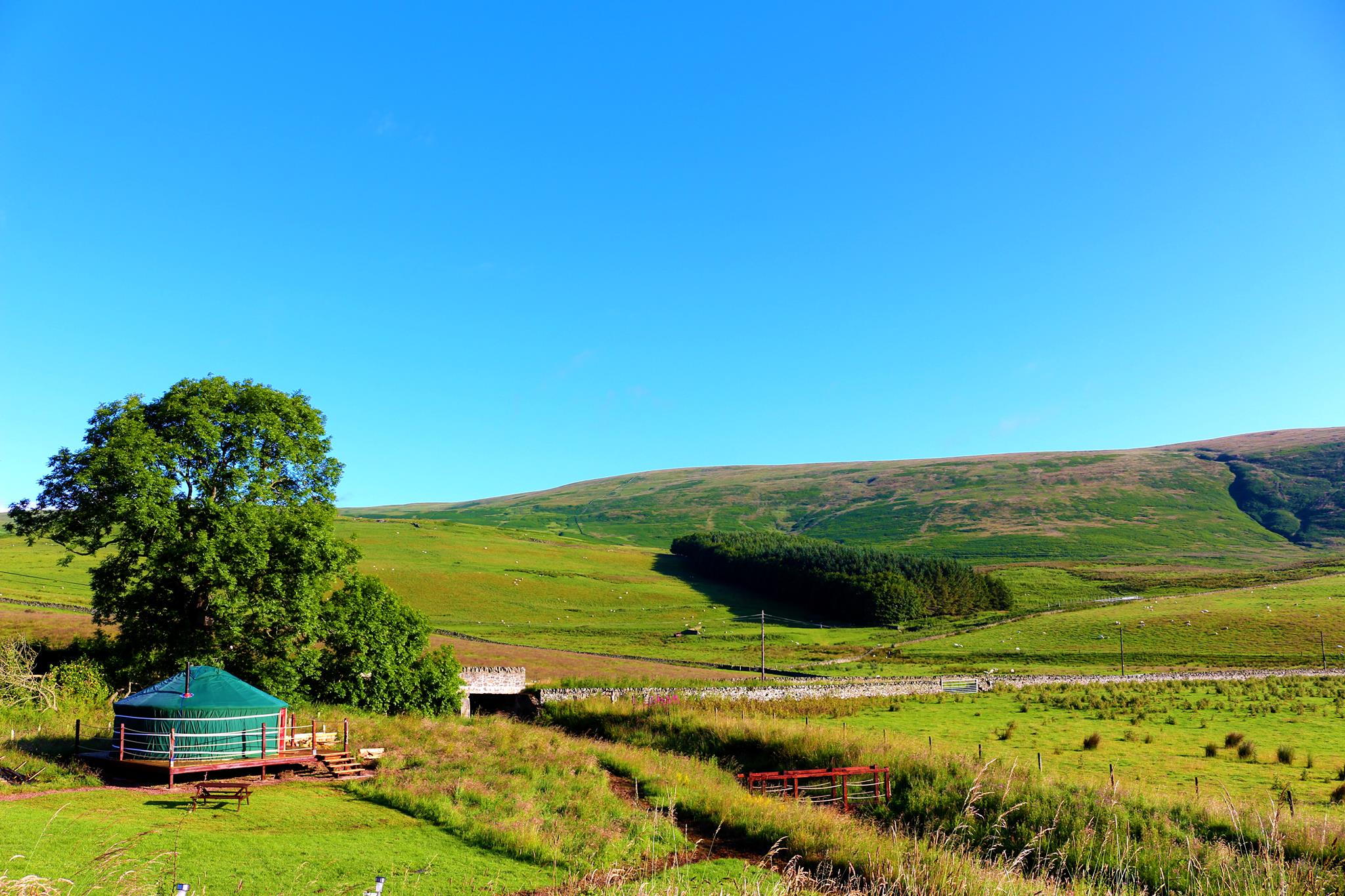 Ettrick Valley Yurts