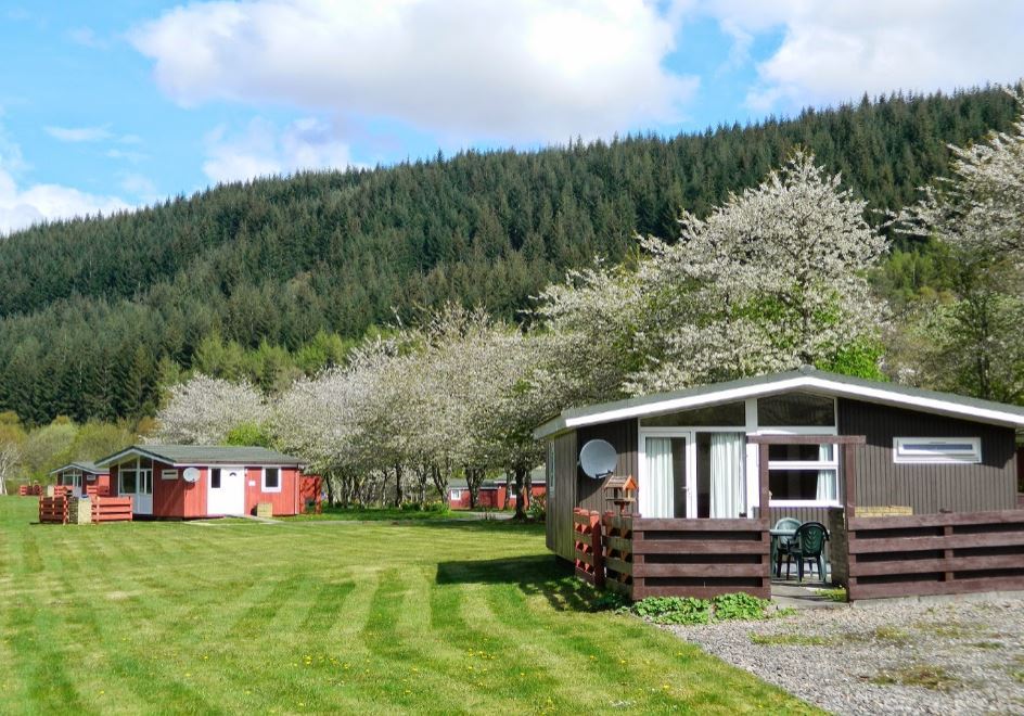 Forest Glen Holiday Park