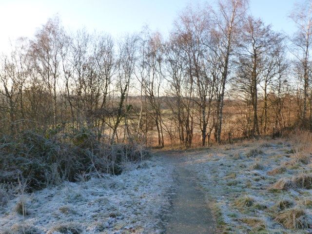 Baron's Haugh Nature Reserve
