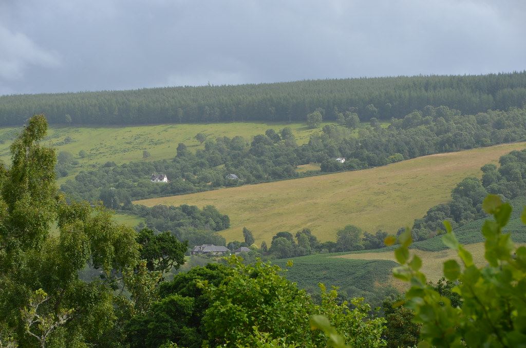 Hike the Craigmonie Trail
