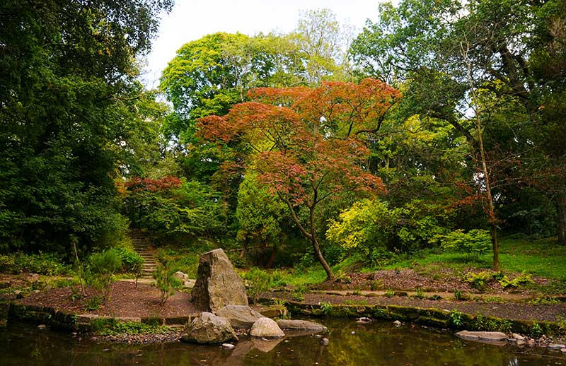 Dalzell Estate Japanese Gardens