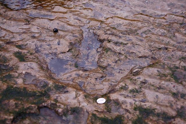 Dinosaur Tracks at An Corran