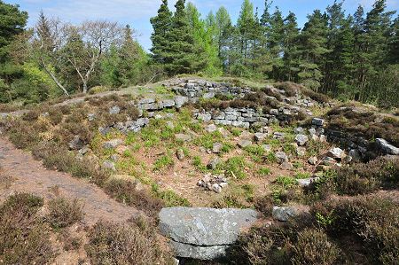 Tappoch Broch & Torwood Castle