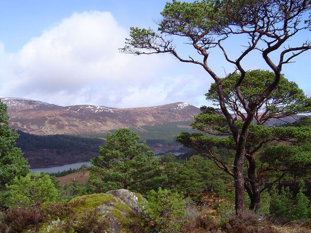 The Glen Affric National Reserve