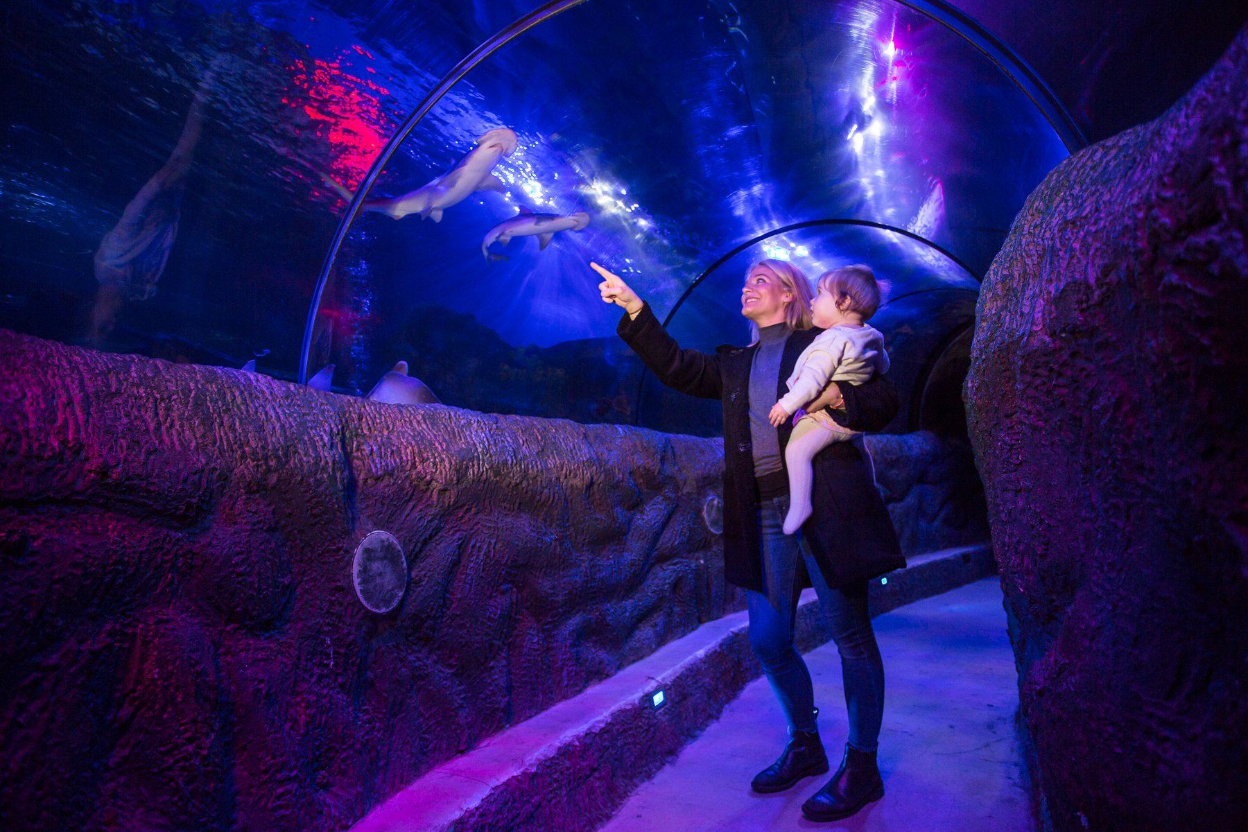 SEA Life Loch Lomond Aquarium