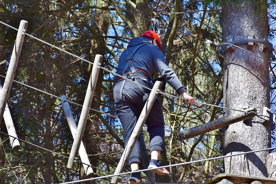 Aerial Adventure Zone