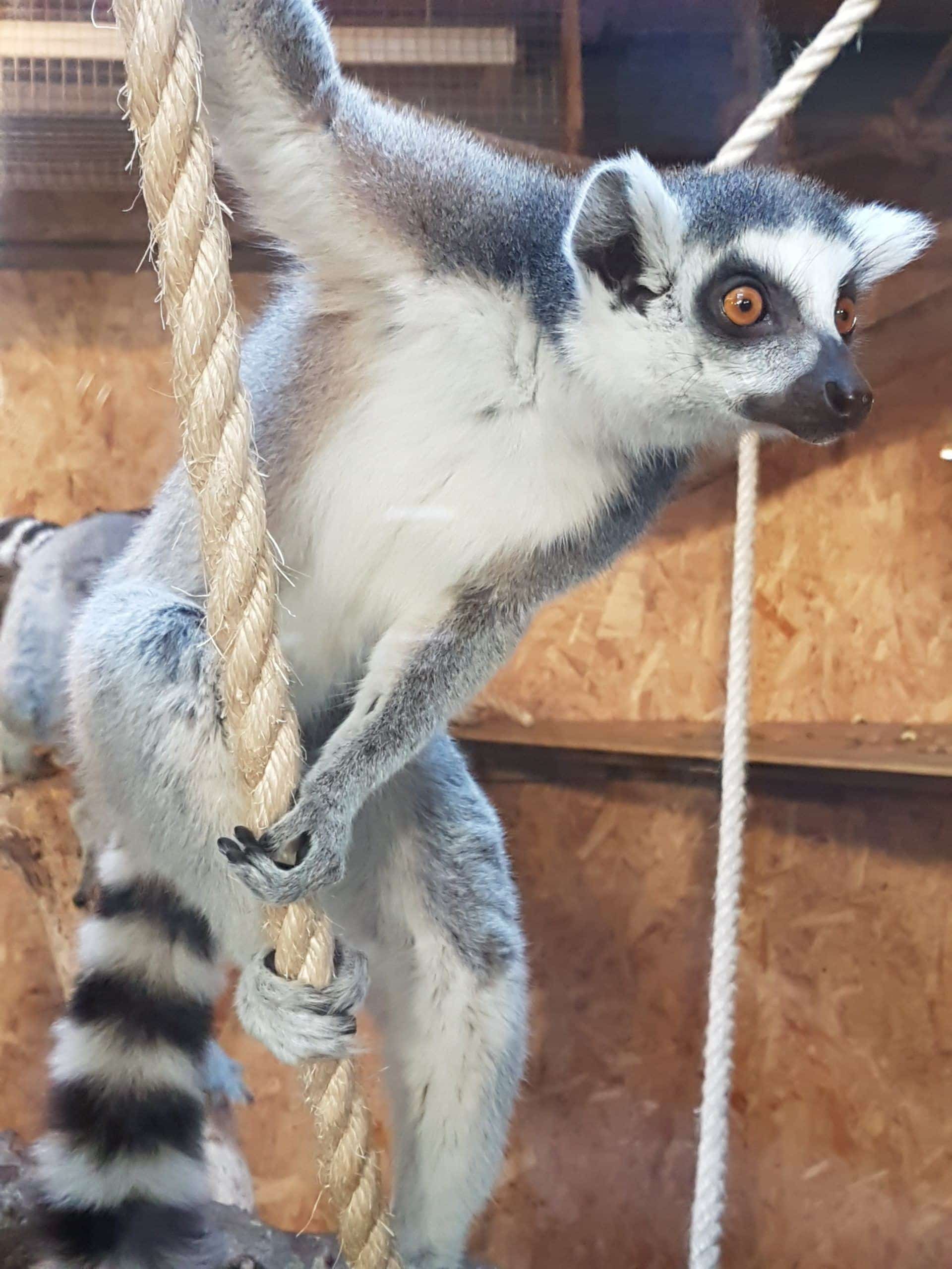 Fernvalley Wildlife Centre