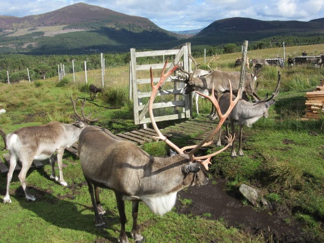 Cairngorms National Park