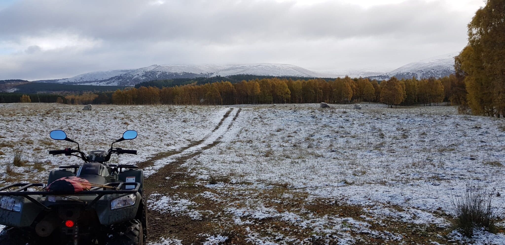 Quad Bike Tour