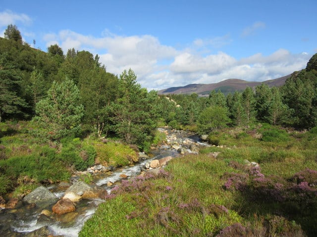 things to do in newtonmore