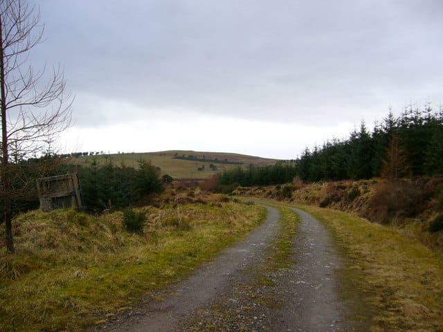Cnoc Trail