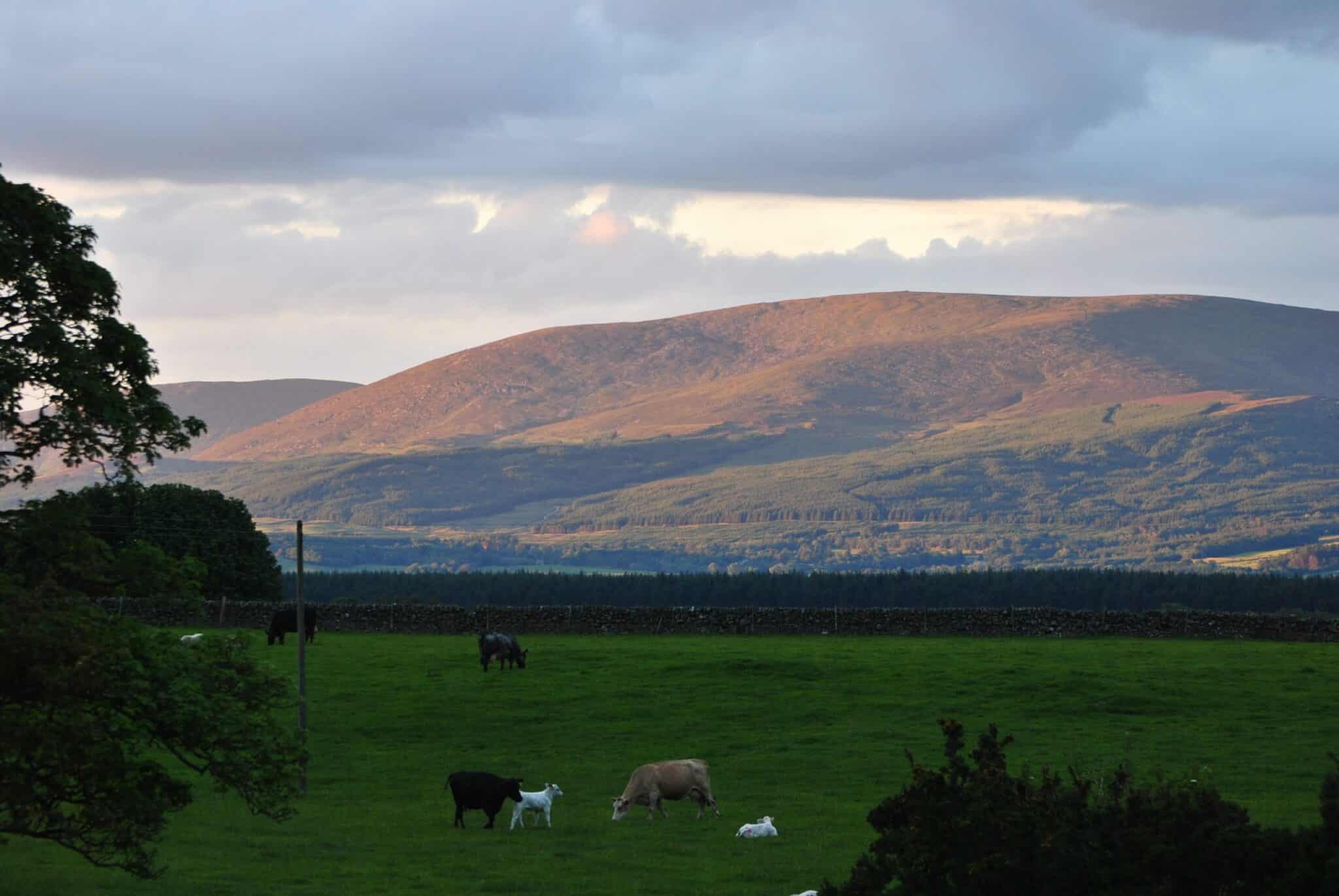 Newton Stewart Holiday Cottages