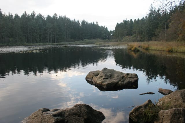Plantain Loch