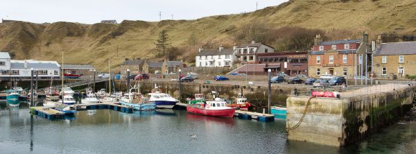 The Ferry Inn