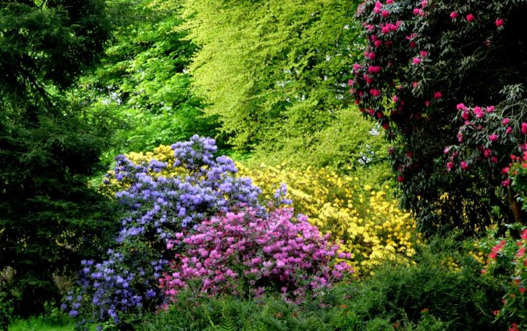 9 Things to do in Newton Stewart Scotland - Our Complete Guide