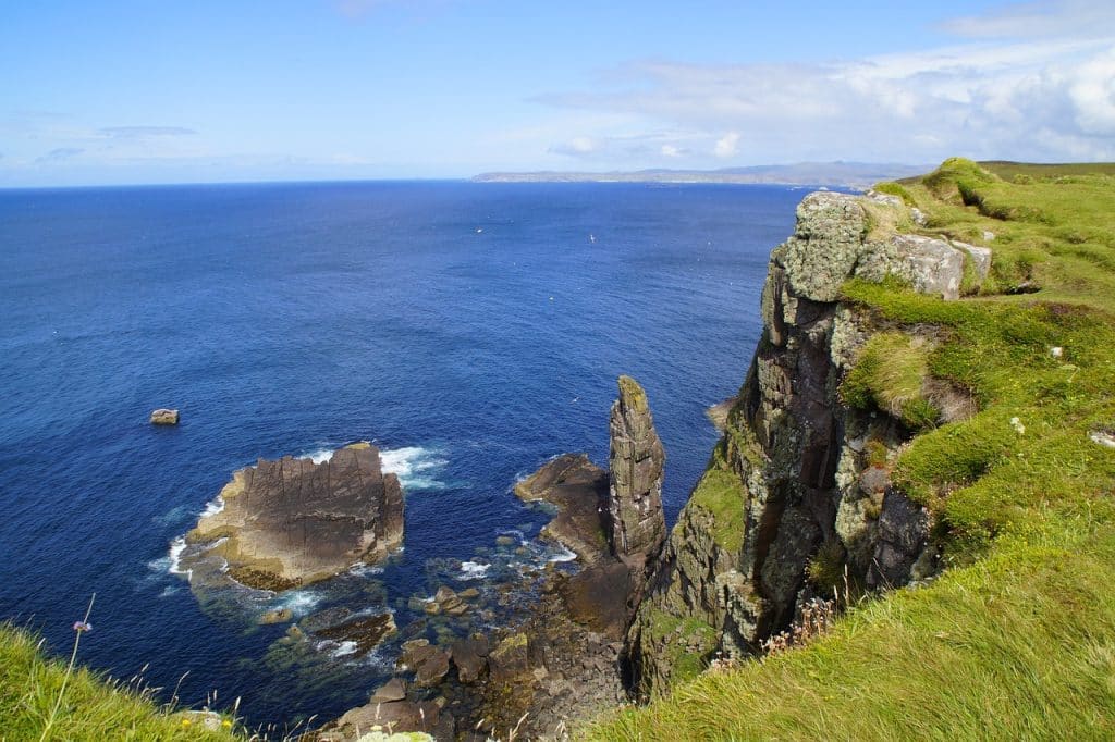 Birds of Handa Island