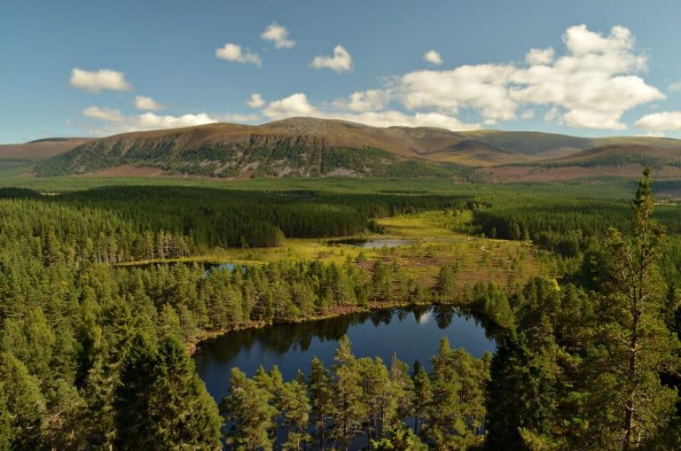 Cairngorms National Park