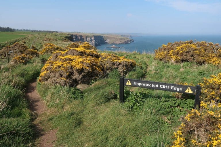 Fowlsheugh Nature Reserve