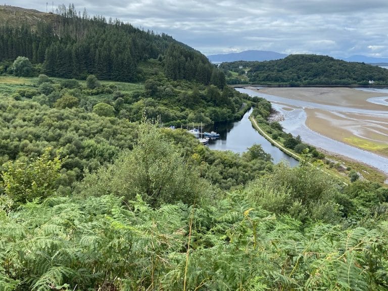 Knapdale Beavers