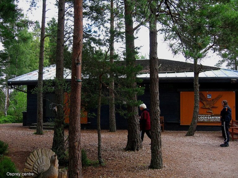 Loch Garten Osprey Centre