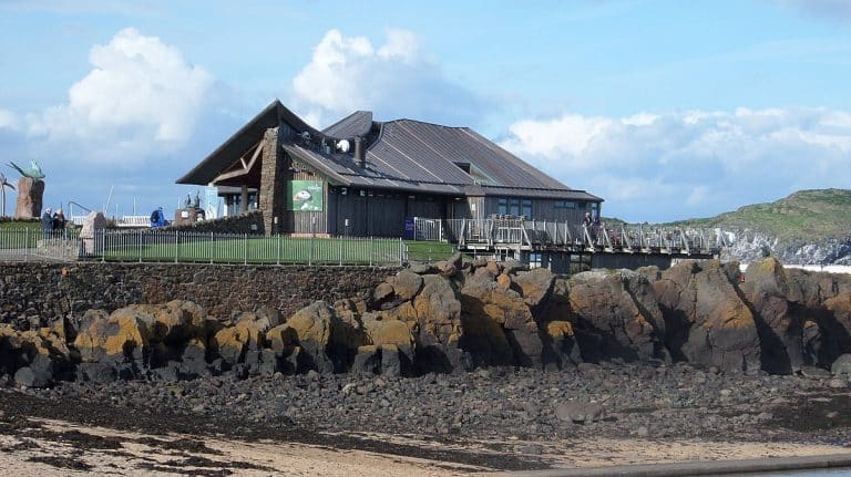 Scottish Seabird Centre