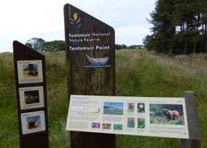 Tentsmuir National Nature Reserve