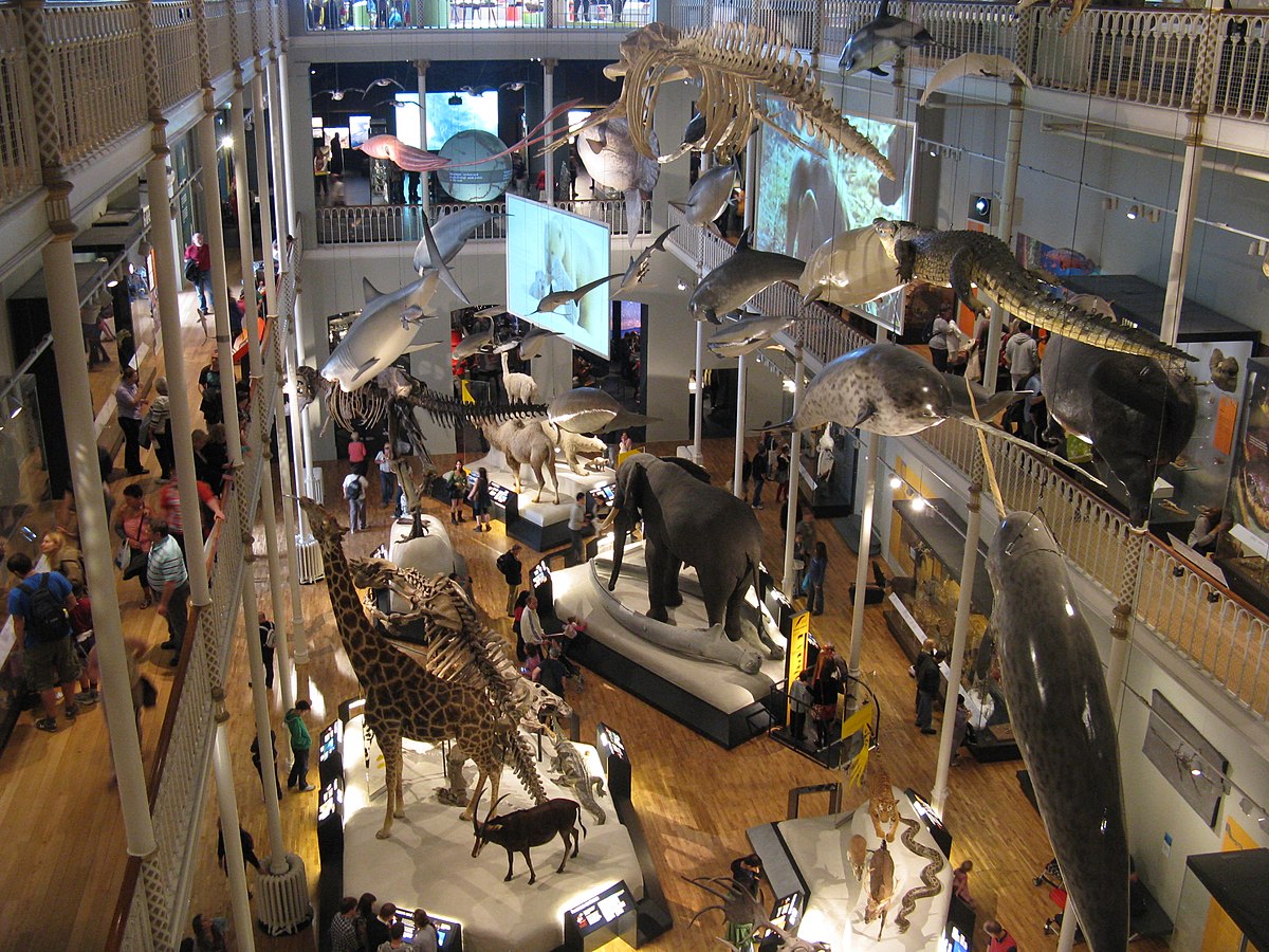 Animal World