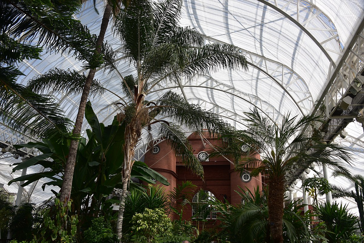People's Palace & Winter Gardens