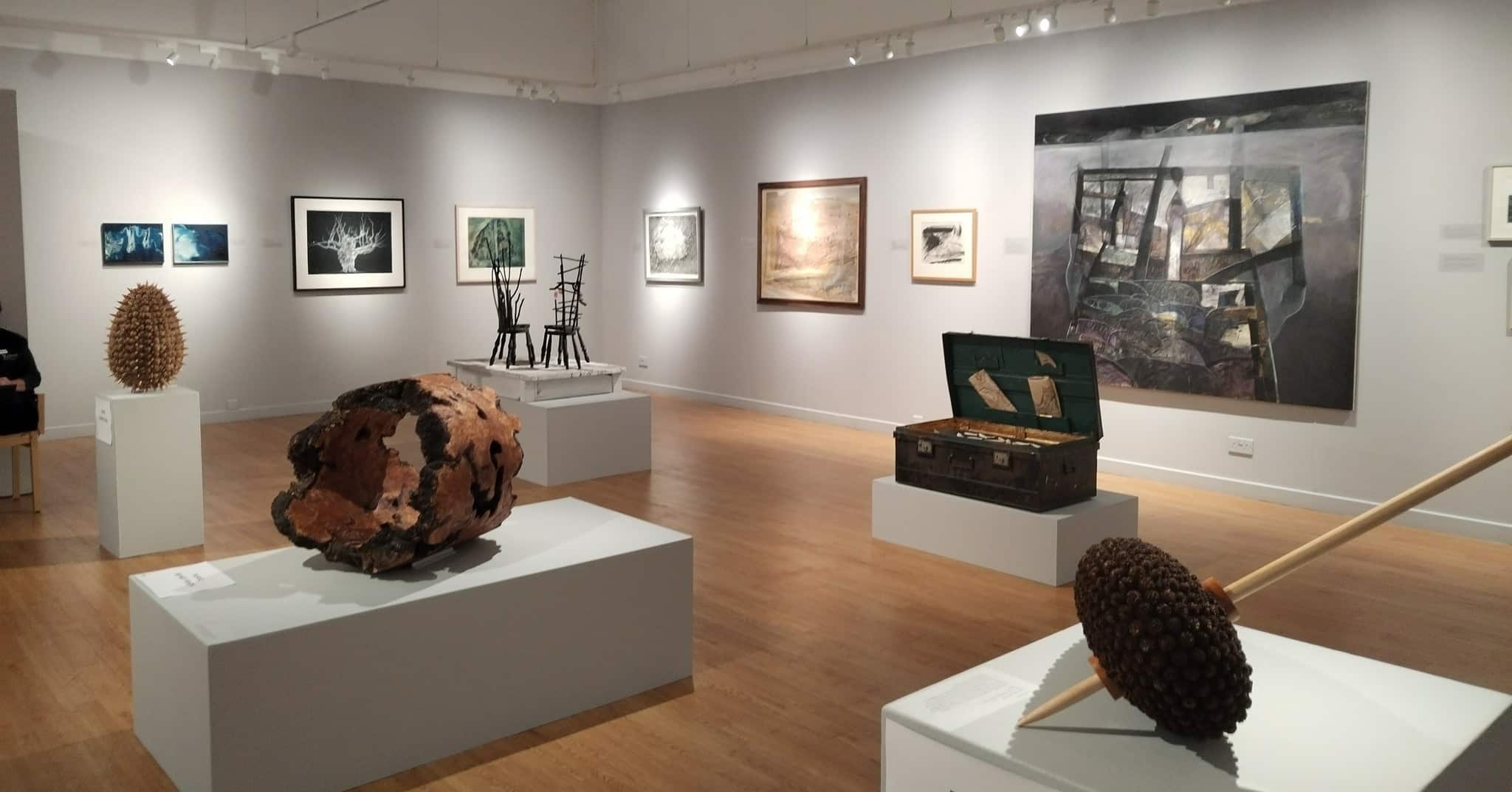 Discover the Art Gallery