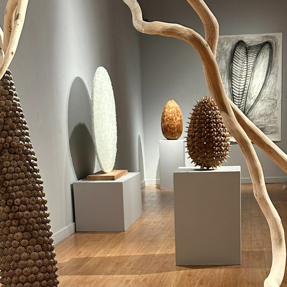 Temporary Exhibitions
