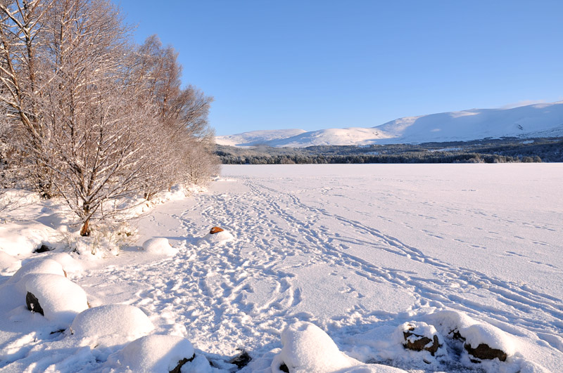 Cairngorms National Park