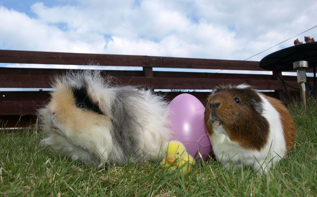 Edinburgh Easter Festivities